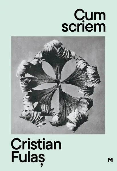 Cum scriem. Ed. II