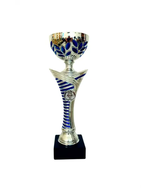 Cupa MS166 - King 64
