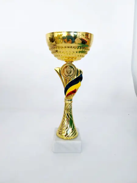 Cupa Tricolor MS177