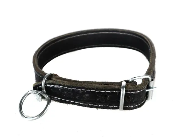 Curea Caine Dubla Piele cu Vartej 3x60cm