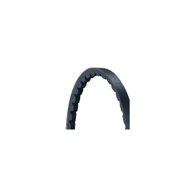 Curea transmisie CONTINENTAL CTAM AVX10X666