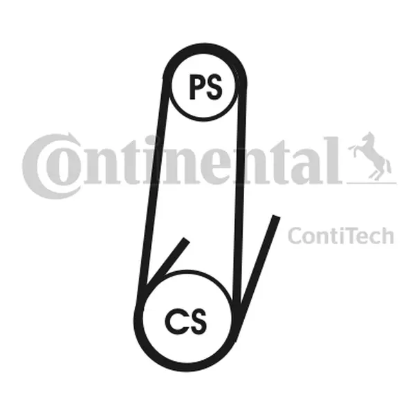 Curea transmisie cu caneluri CONTINENTAL CTAM 4PK1102 ELAST