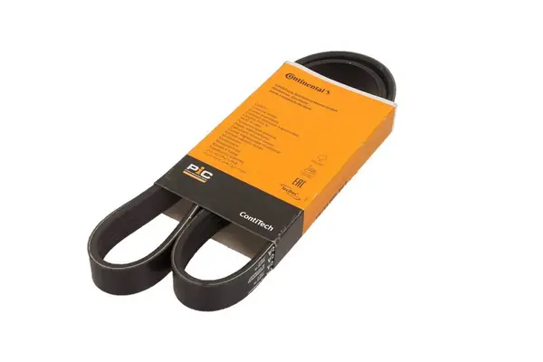 Curea transmisie cu caneluri CONTINENTAL CTAM 6PK1004 EXTRA