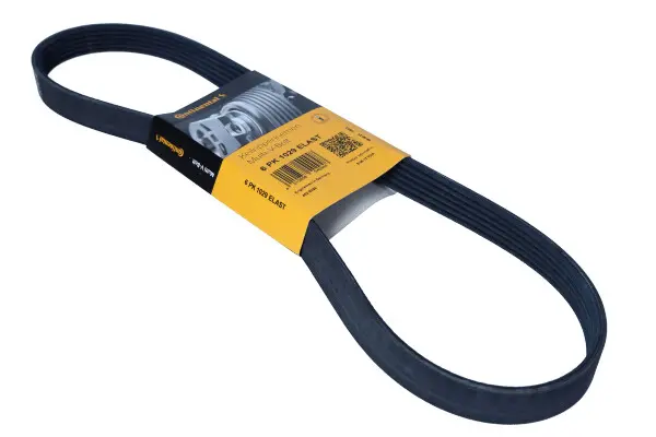 Curea transmisie cu caneluri CONTINENTAL CTAM 6PK1029 ELAST