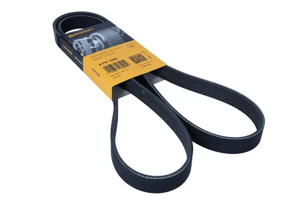 Curea transmisie cu caneluri CONTINENTAL CTAM 6PK1560