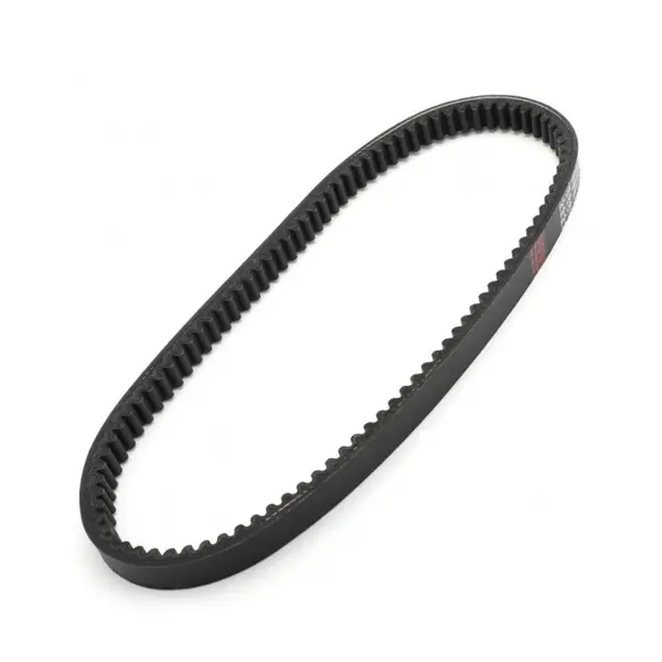 Curea transmisie scuter / ATV (1006 x 23)