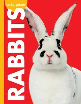 Curious about Rabbits, Library Binding/Jill Sherman