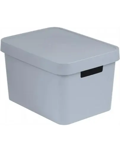 CURVER Cutie depozitare cu capac INFINITY 17 L gri deschis