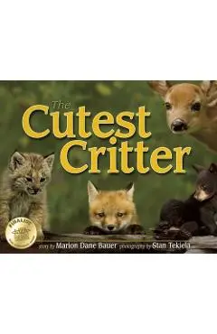 Cutest Critter - Marion Dane Bauer