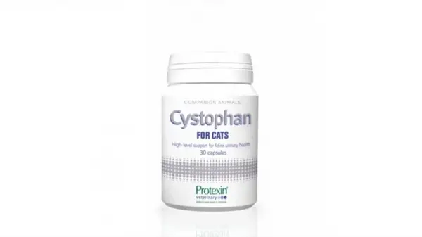 CYSTOPHAN pentru cats pisici - 240 capsule