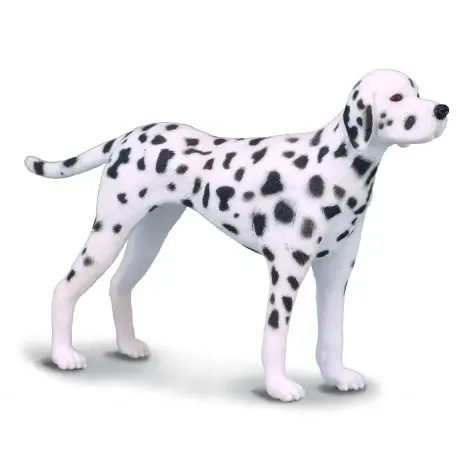 Dalmatian - Collecta