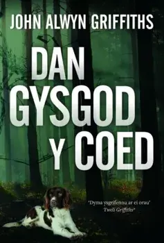 Dan Gysgod y Coed, Paperback/John Alwyn Griffiths