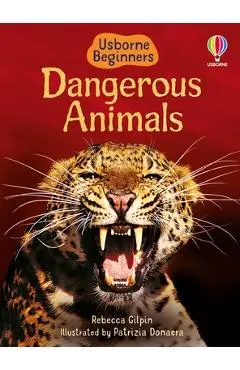 Dangerous Animals - Rebecca Gilpin
