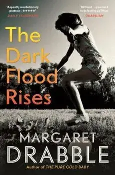 Dark Flood Rises, Paperback/Margaret Drabble