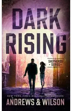 Dark Rising - Brian Andrews