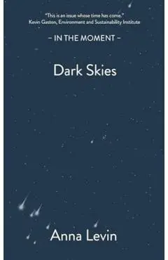 Dark Skies - Anna Levin