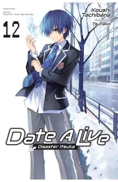 Date a Live, Vol. 12 (Light Novel) - Koushi Tachibana