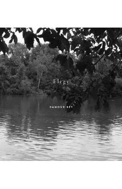 Dawoud Bey: Elegy - Dawoud Bey