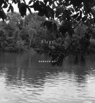Dawoud Bey: Elegy, Hardback/Valerie Cassel Oliver