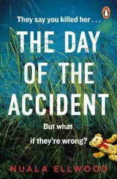Day of the Accident, Paperback/Nuala Ellwood