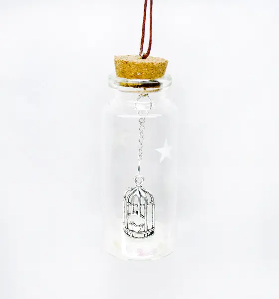 Decoratiune Craciun - Glass Bottle, colivie pasare | Everbright Gifts