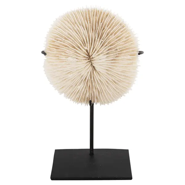 Decoratiune RISTO - Beige