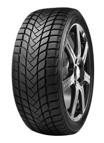 DELINTE WD6 175/65R15 84T