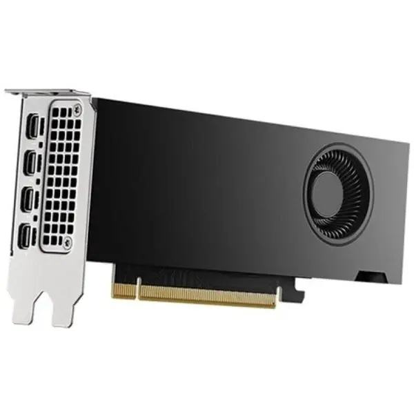 Dell Placa video Dell nVidia RTX 2000 Ada Generation 16 GB GDDR6 128 bit