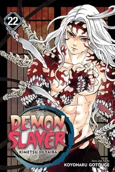 Demon Slayer: Kimetsu No Yaiba, Vol. 22, Paperback/Koyoharu Gotouge