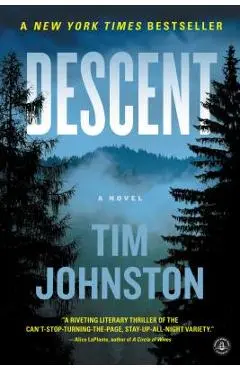 Descent - Tim Johnston