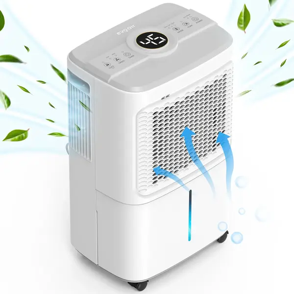 - Dezumidificator Evoair Dryora 12, 12l/24h, Senzor de Umiditate, Dezumidifcare Continua, Uscare Rufe, Lumina Ambientala, Rezervor 1.6l, Alb