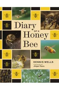 Diary of a Honey Bee - Dennis Wells