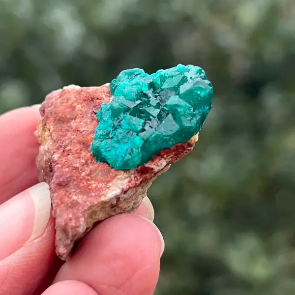 Dioptaz cluster din Congo model 29