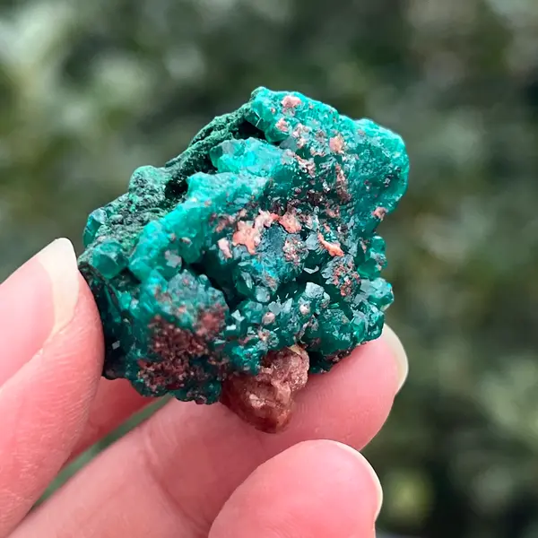 Dioptaz cluster din Congo model 36