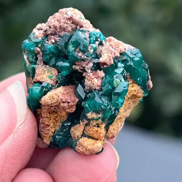 Dioptaz cluster din Congo model 8