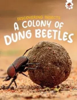 Discovering Insects: A Colony of Dung Beetles, Paperback/Rebecca Storm