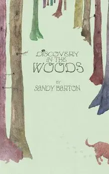 Discovery In The Woods: A St. Patrick's Day Surprise, Paperback/Sandy Barton