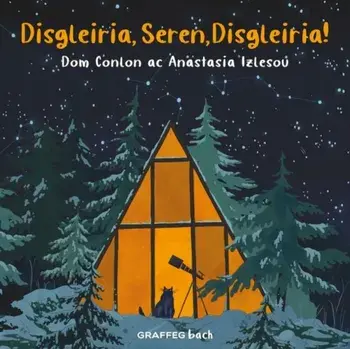 Disgleiria, Seren, Disgleiria!, Paperback/Dom Conlon