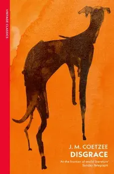 Disgrace. A BBC Radio 4 Good Read, Paperback/J.M. Coetzee