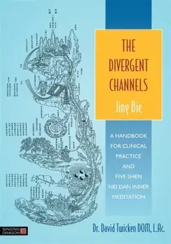 Divergent Channels - Jing Bie. A Handbook for Clinical Practice and Five Shen Nei Dan Inner Meditation, Paperback/David Twicken
