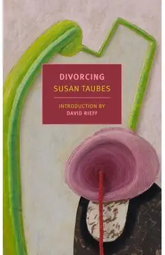 Divorcing - Susan Taubes
