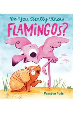 Do You Really Know Flamingos? - Brandon Todd