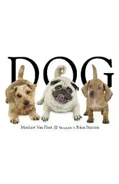 Dog - Matthew Van Fleet