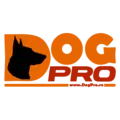 dogpro.ro