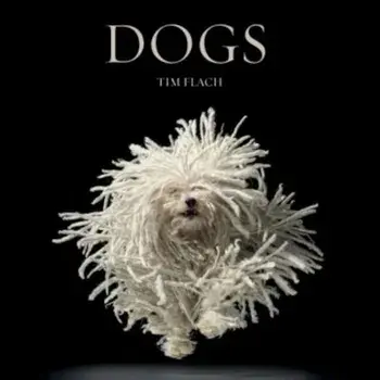Dogs, Hardcover/Tim Flach