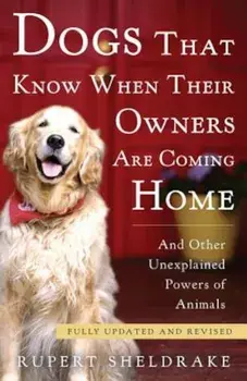 Dogs That Know When Their Owners Are Coming Home: And Other Unexplained Powers of Animals, Paperback/Rupert Sheldrake
