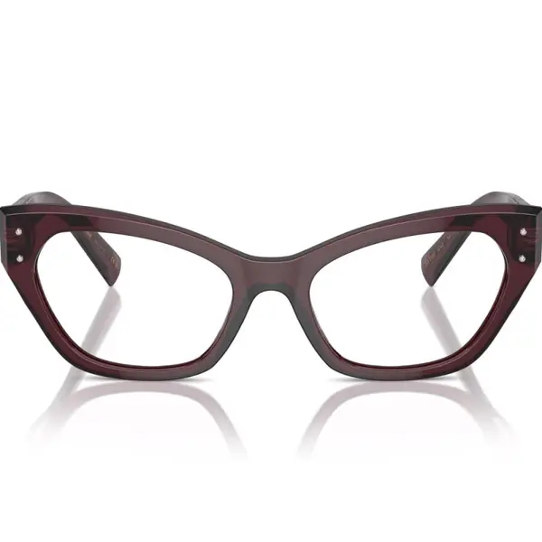 Dolce&Gabbana DG3385 3045 54