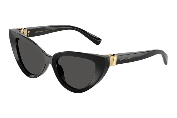 Dolce & Gabbana DG4497 501/87