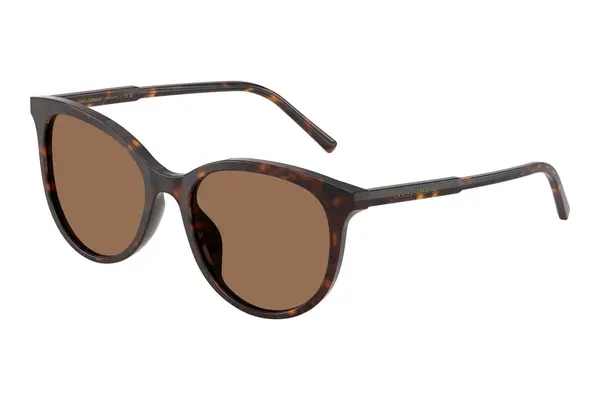Dolce & Gabbana DG4540 502/13