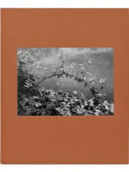 Doldrums, Hardback/***